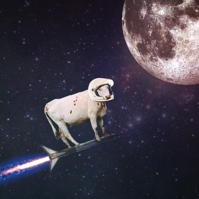 TO THE MOOON #3