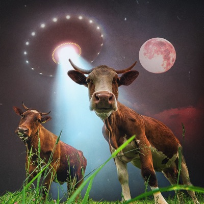 TO THE MOOON #4