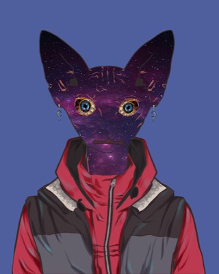 ASA Sphynx #3