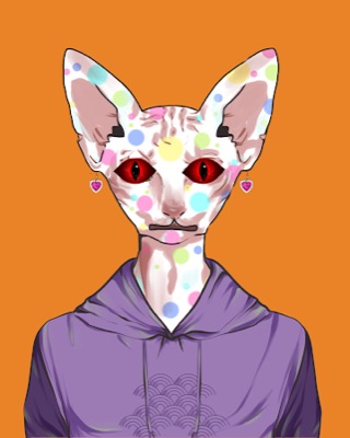 ASA Sphynx #5