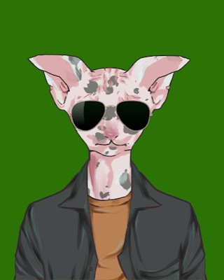 ASA Sphynx #6