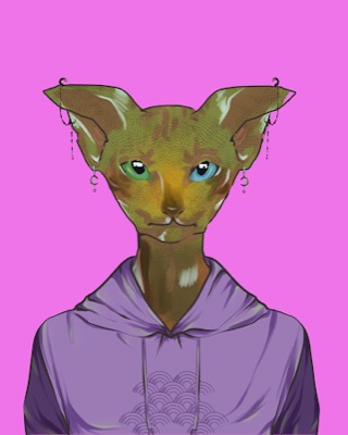 ASA Sphynx #7