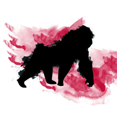 Algo Ape #001