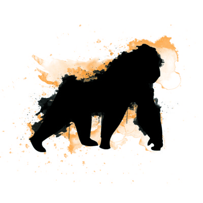 Algo Ape #002