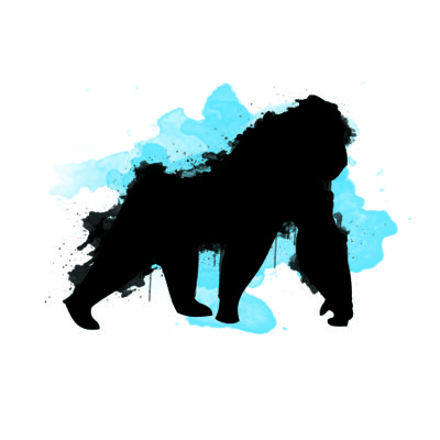 Algo Ape #003