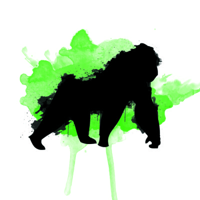 Algo Ape #004