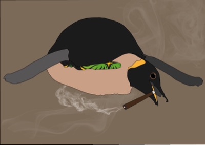 Stoned Penguin #3