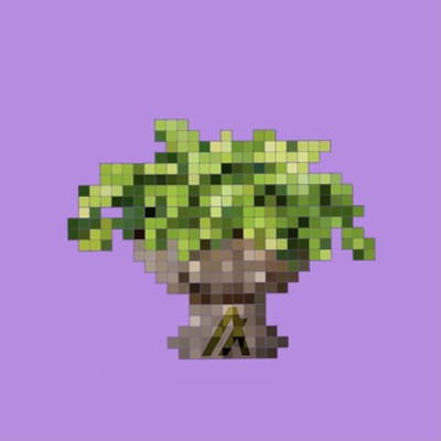 Algo Pot #6