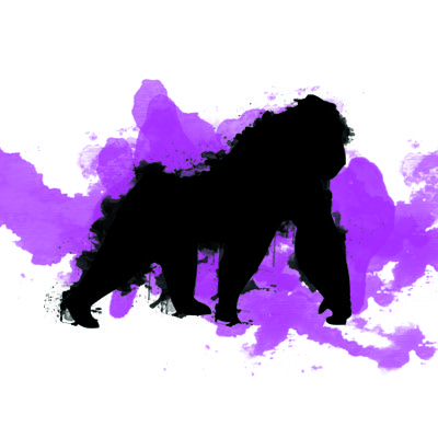 Algo Ape #006