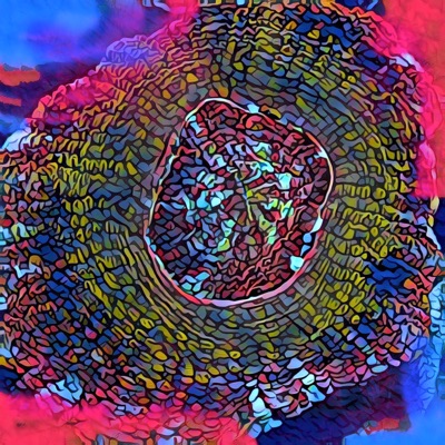 Coral Shotz #003