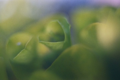 ALGOART