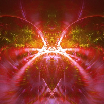 ALGO BLOOM #004