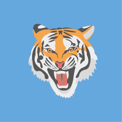 AlgoTiger #01