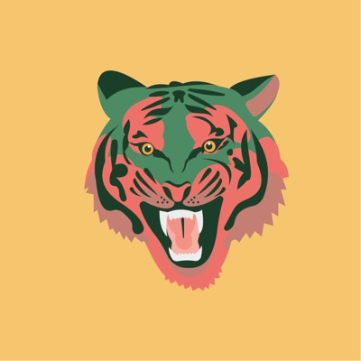 AlgoTiger #02