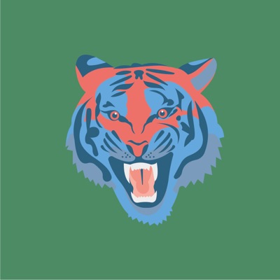 AlgoTiger #03