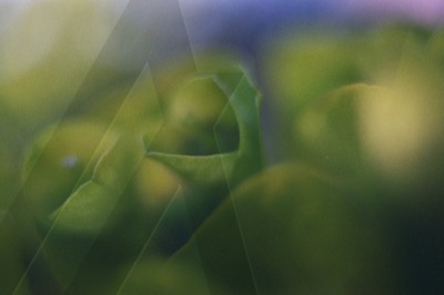 ALGOART#4