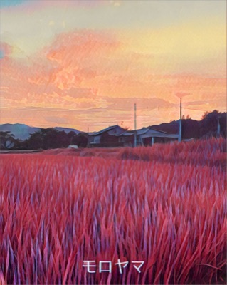 Algopan Series #003 Moroyama