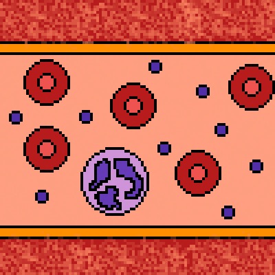 HemeTeam Vessel