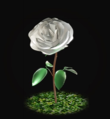Custom Rose