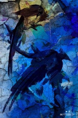 Blue Birds