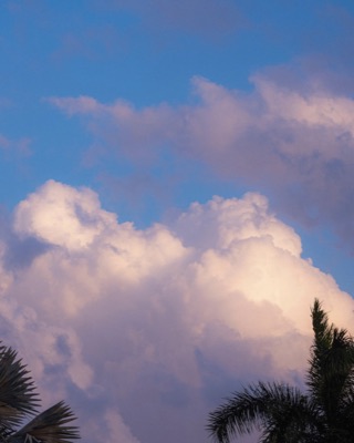 AlgoCloud #5