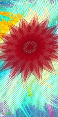 WildFlower