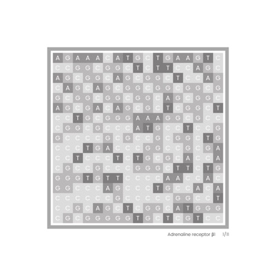 Gene Blocks – Adrenaline 01