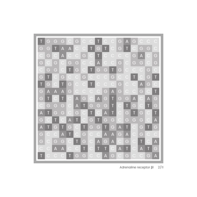 Gene Blocks – Adrenaline 02