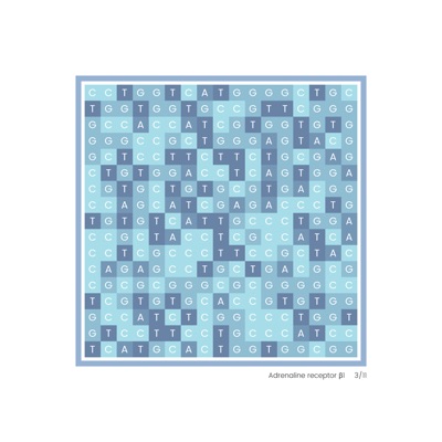 Gene Blocks – Adrenaline 03