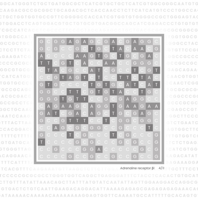 Gene Blocks – Adrenaline 04