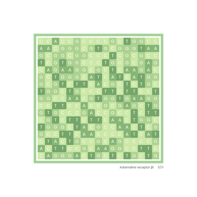 Gene Blocks – Adrenaline 05