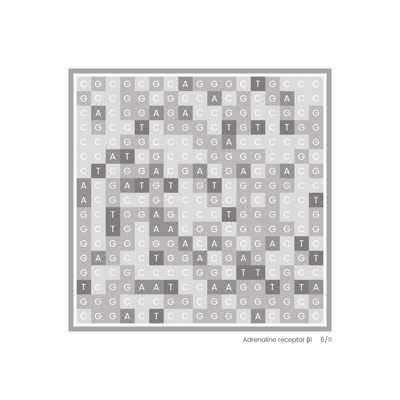 Gene Blocks – Adrenaline 06