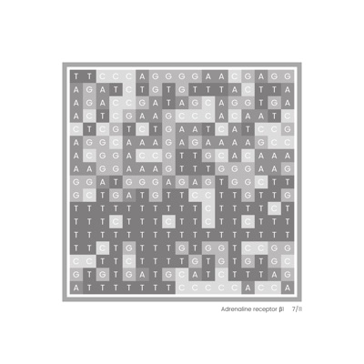 Gene Blocks – Adrenaline 07