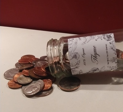 PunThyme - #1 - Thyme Is Money