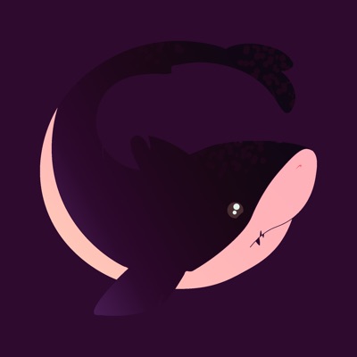Tiny Shark #5 - Coco
