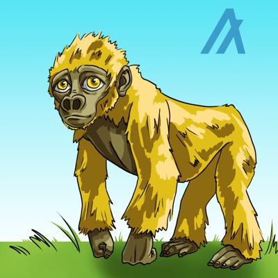 (Yellow)Babyrilla