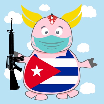 ALGOPIG #006