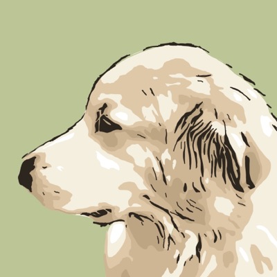 Algo Doggos 1