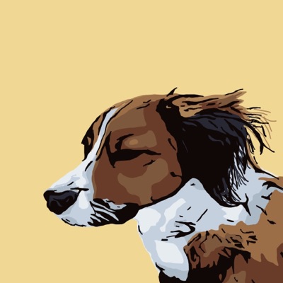 Algo Doggos 2
