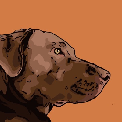 Algo Doggos 4