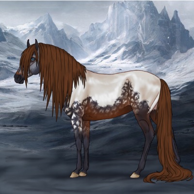 Algo Horse 2