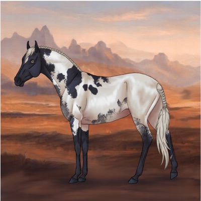 Algo Horse #6