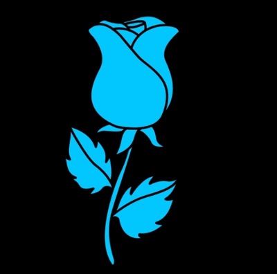 RoseAlgo #06