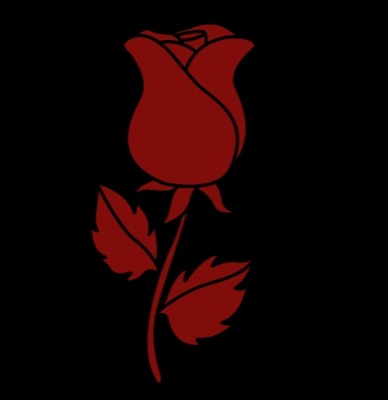 RoseAlgo #08
