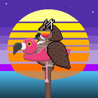 AlgoOwl Epic #003