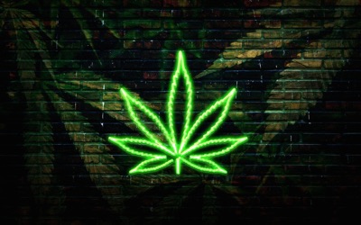 ALGLO - "Hemp" Leaf NEON