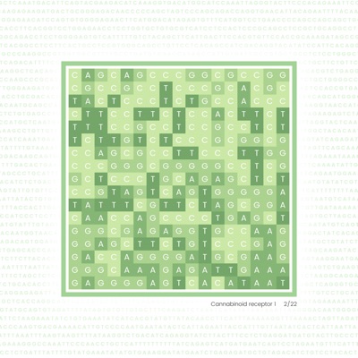 Gene Blocks – Cannabis 02