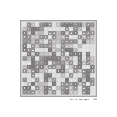 Gene Blocks – Cannabis 03