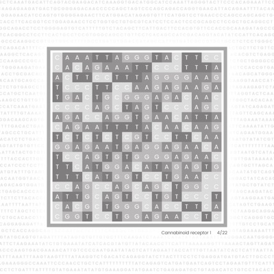 Gene Blocks – Cannabis 04