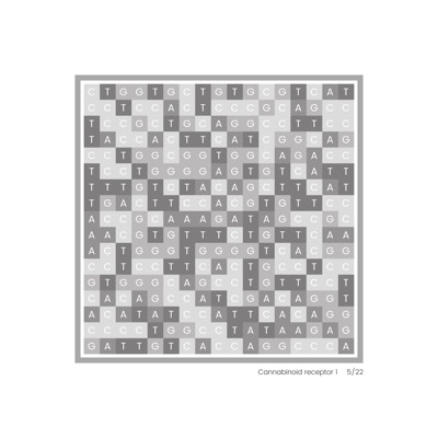 Gene Blocks – Cannabis 05